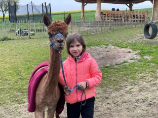 447645077_987535936289887_1588513507149878289_n